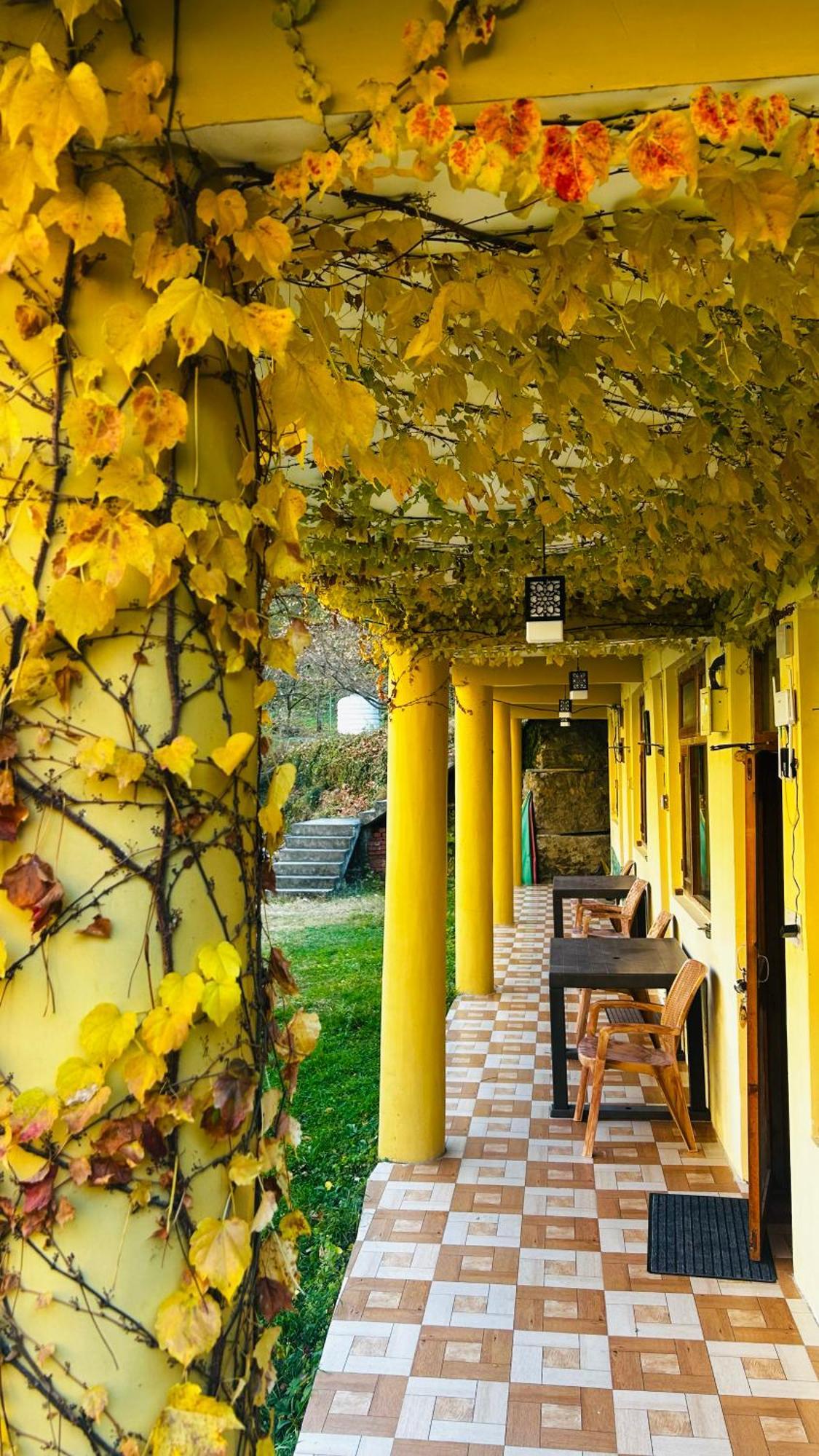 Woodrose Ecostay - Couple'S Favourite Homestay