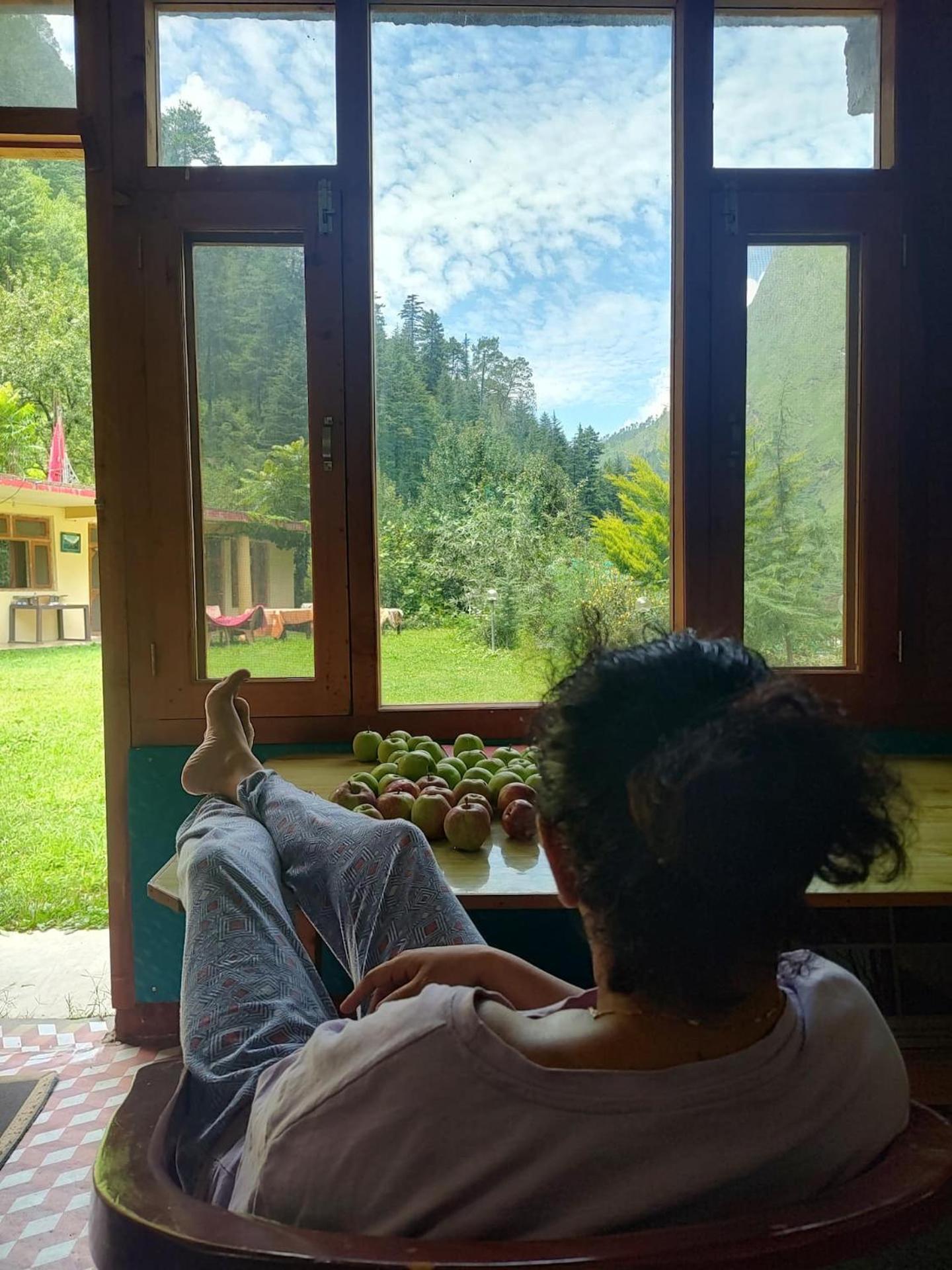 Homestay Woodrose Ecostay - Couple'S Favourite Gushaini