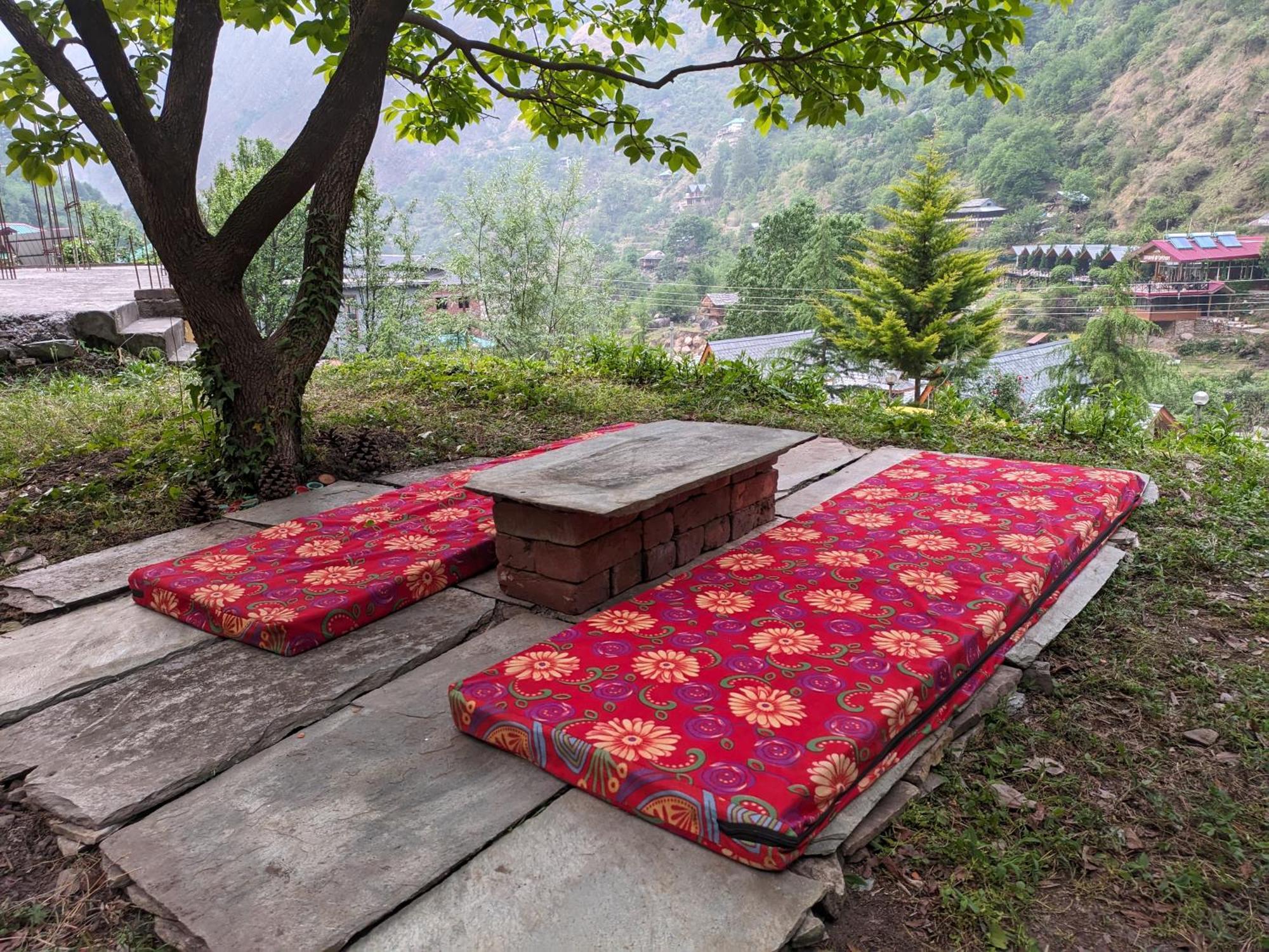 Woodrose Ecostay - Couple'S Favourite * Gushaini